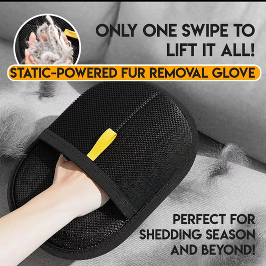 The Best Eco-Friendly Way to Remove Pet Hair — Without Sticky Refills!